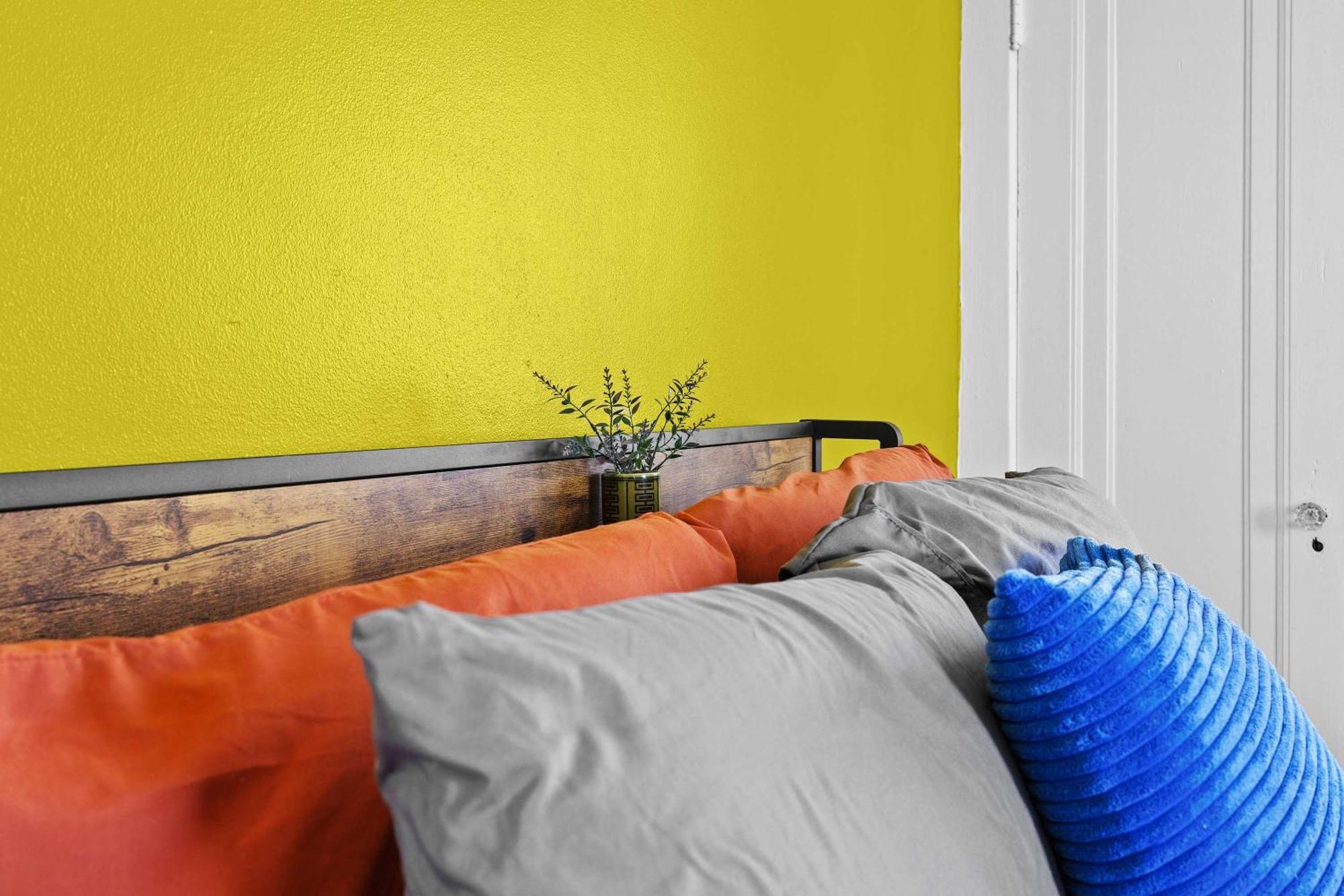 Cozy & Creative Unit In Lou's Arts District *